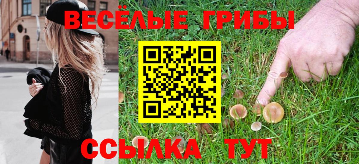 Псилоцибиновые грибы Magic Shrooms Буйнакск